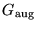 $G_{\rm aug}$